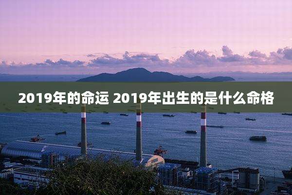 2019年的命运 2019年出生的是什么命格