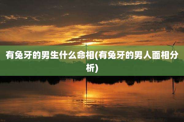 有兔牙的男生什么命相(有兔牙的男人面相分析)
