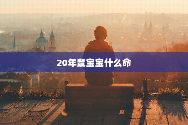 20年鼠宝宝什么命