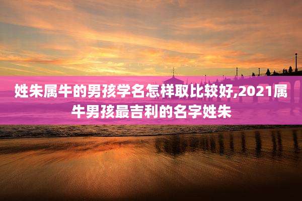 姓朱属牛的男孩学名怎样取比较好,2021属牛男孩最吉利的名字姓朱