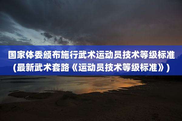 国家体委颁布施行武术运动员技术等级标准(最新武术套路《运动员技术等级标准》)