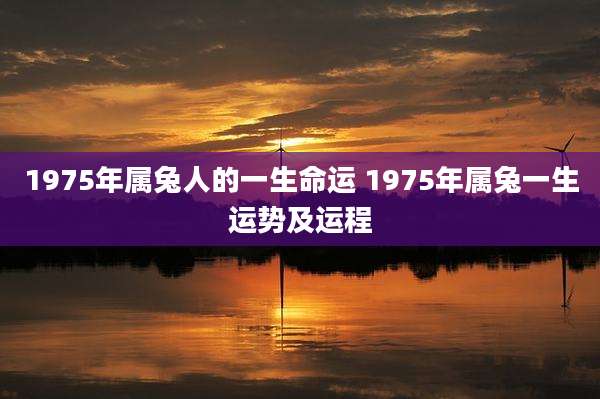 1975年属兔人的一生命运 1975年属兔一生运势及运程