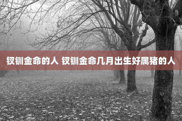 钗钏金命的人 钗钏金命几月出生好属猪的人