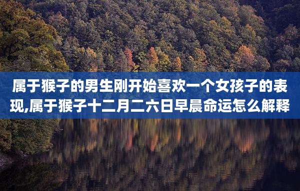 属于猴子的男生刚开始喜欢一个女孩子的表现,属于猴子十二月二六日早晨命运怎么解释