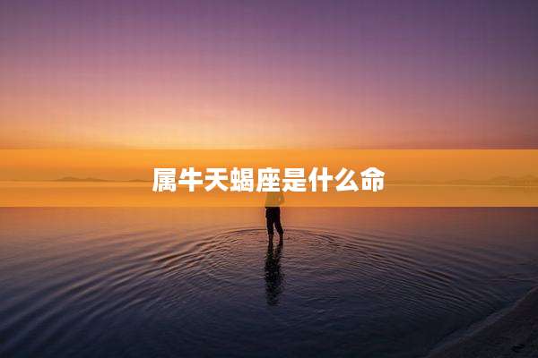 属牛天蝎座是什么命