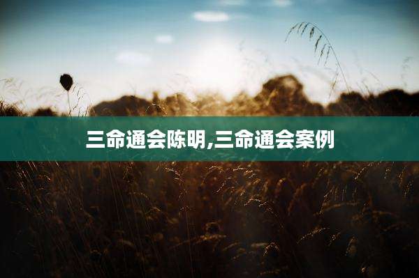 三命通会陈明,三命通会案例