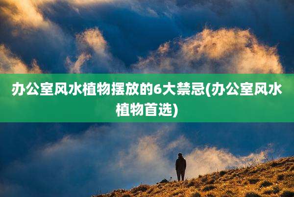 办公室风水植物摆放的6大禁忌(办公室风水植物首选)