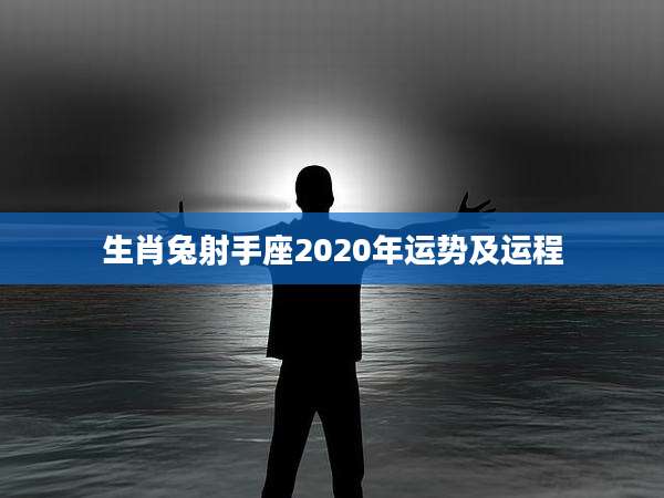 生肖兔射手座2020年运势及运程