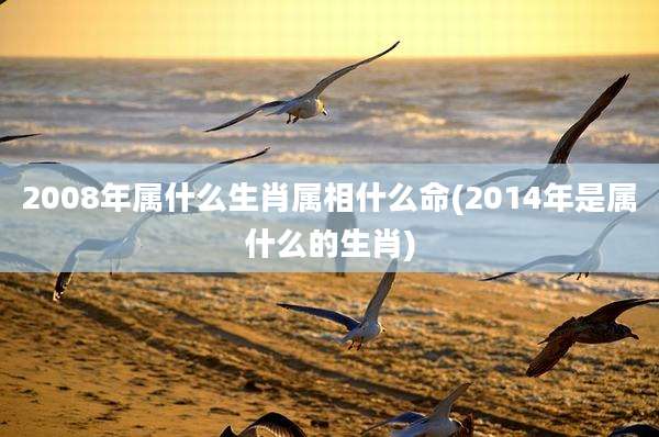 2008年属什么生肖属相什么命(2014年是属什么的生肖)