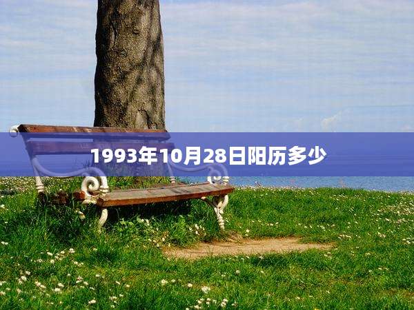 1993年10月28日阳历多少