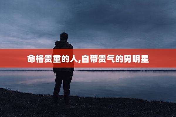 命格贵重的人,自带贵气的男明星