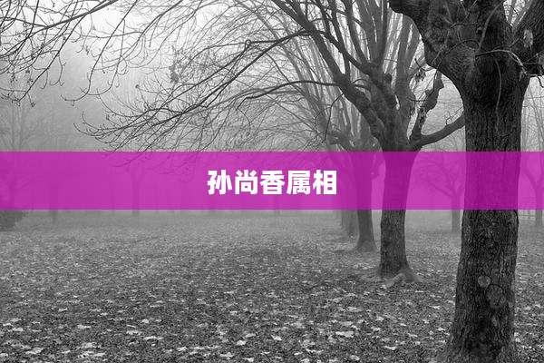 孙尚香属相