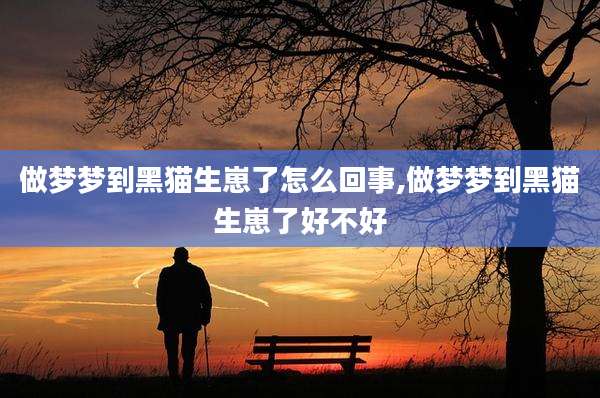 做梦梦到黑猫生崽了怎么回事,做梦梦到黑猫生崽了好不好