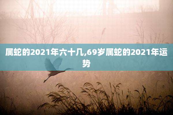 属蛇的2021年六十几,69岁属蛇的2021年运势