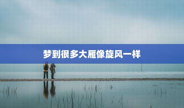 梦到很多大雁像旋风一样