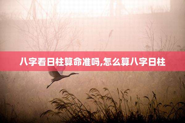 八字看日柱算命准吗,怎么算八字日柱