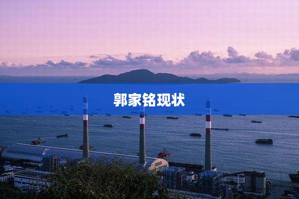 郭家铭现状