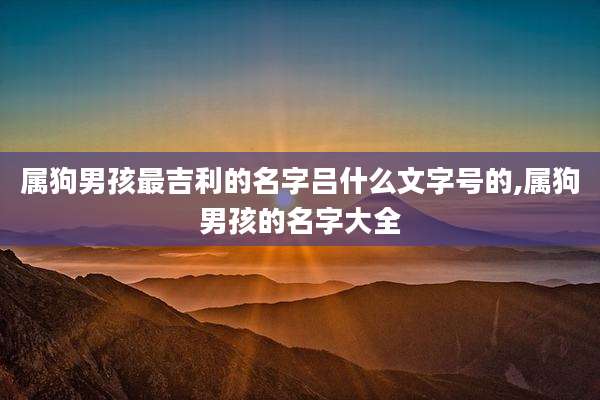 属狗男孩最吉利的名字吕什么文字号的,属狗男孩的名字大全