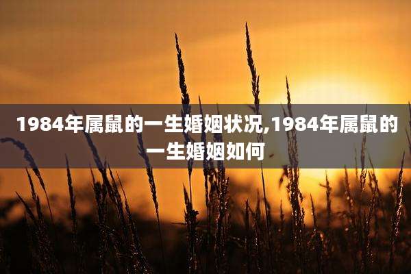 1984年属鼠的一生婚姻状况,1984年属鼠的一生婚姻如何