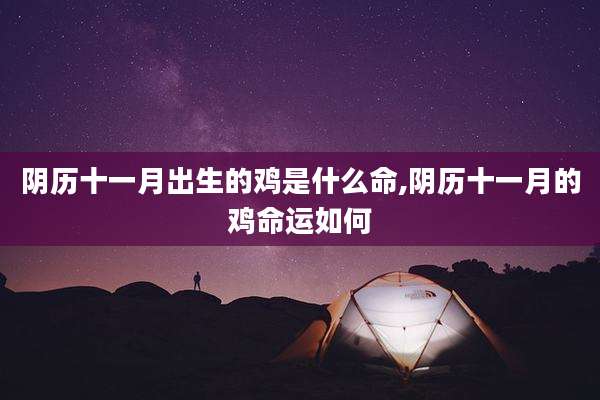 阴历十一月出生的鸡是什么命,阴历十一月的鸡命运如何