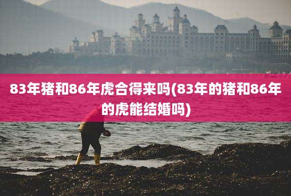83年猪和86年虎合得来吗(83年的猪和86年的虎能结婚吗)