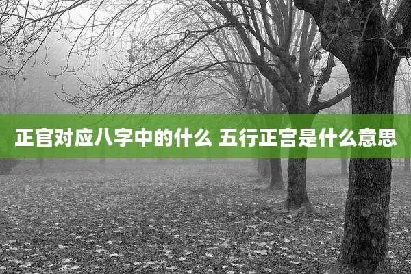 正官对应八字中的什么 五行正宫是什么意思