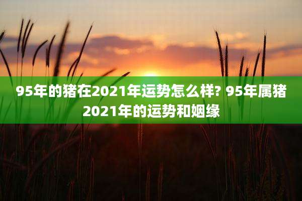 95年的猪在2021年运势怎么样? 95年属猪2021年的运势和姻缘