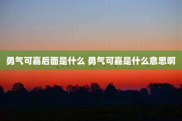 勇气可嘉后面是什么 勇气可嘉是什么意思啊