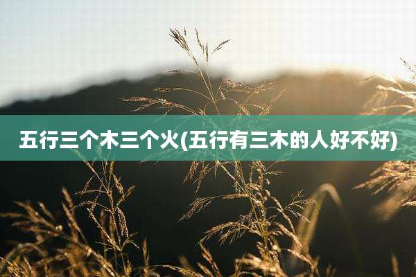 五行三个木三个火(五行有三木的人好不好)
