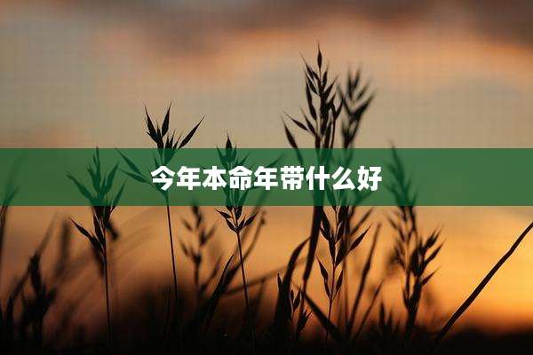 今年本命年带什么好