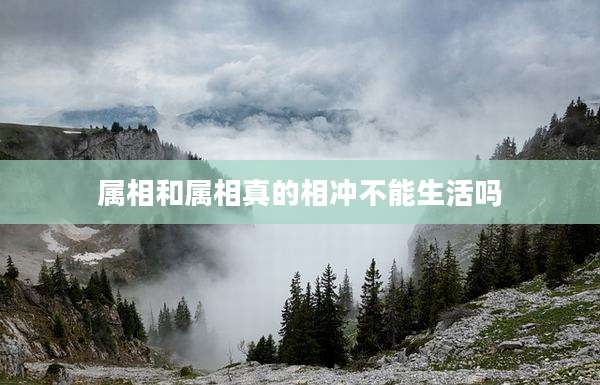 属相和属相真的相冲不能生活吗