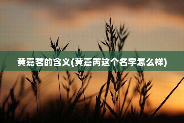 黄嘉茗的含义(黄嘉芮这个名字怎么样)