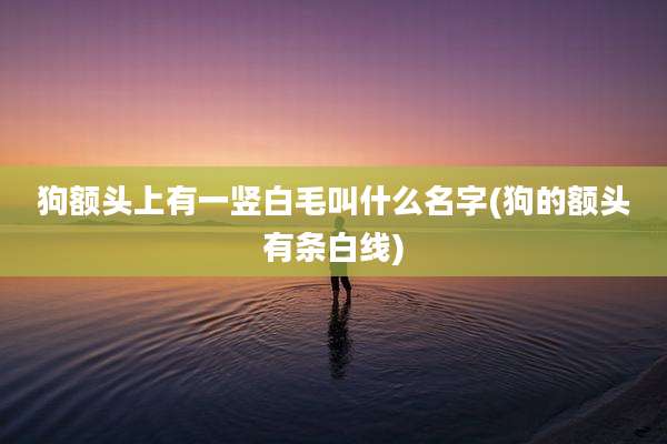 狗额头上有一竖白毛叫什么名字(狗的额头有条白线)