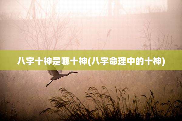 八字十神是哪十神(八字命理中的十神)