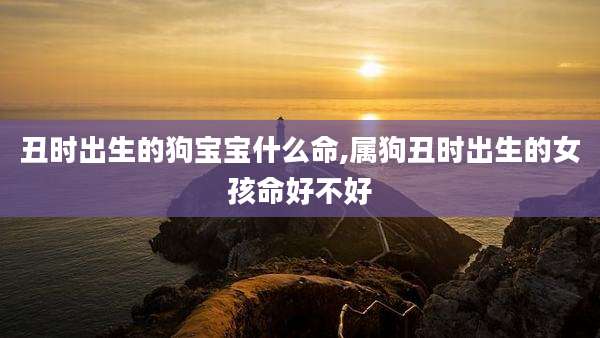 丑时出生的狗宝宝什么命,属狗丑时出生的女孩命好不好