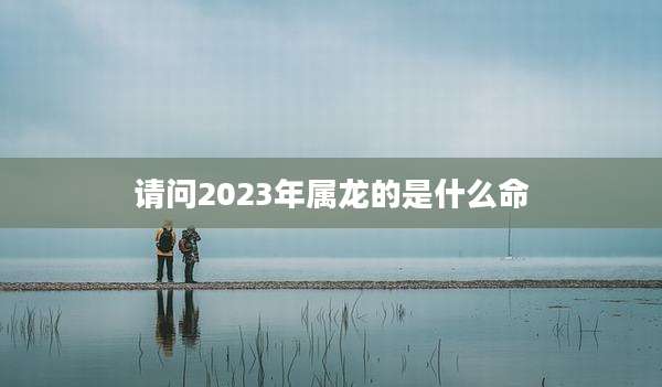 请问2023年属龙的是什么命