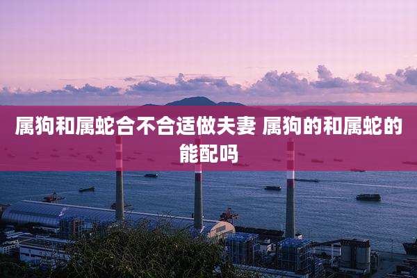 属狗和属蛇合不合适做夫妻 属狗的和属蛇的能配吗