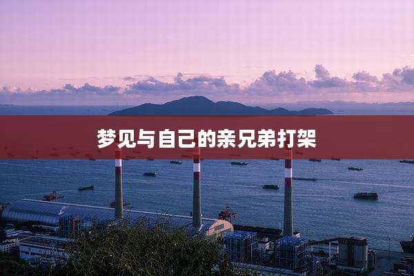 梦见与自己的亲兄弟打架