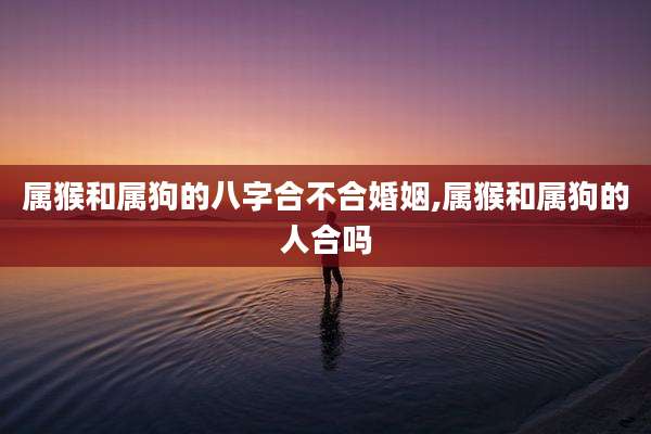 属猴和属狗的八字合不合婚姻,属猴和属狗的人合吗