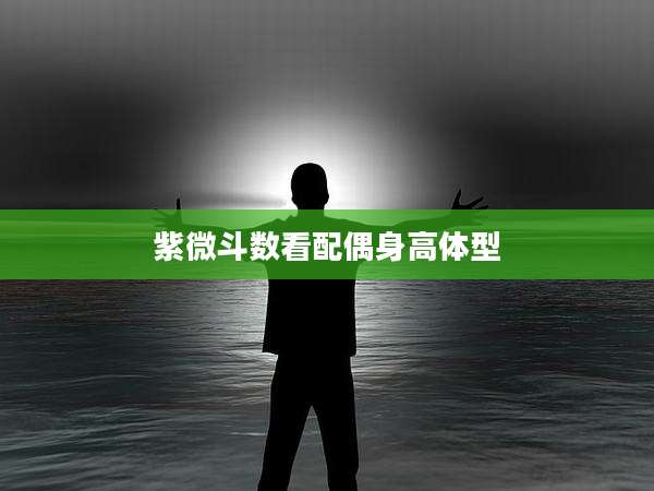 紫微斗数看配偶身高体型