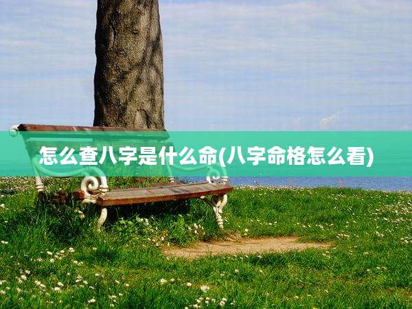 怎么查八字是什么命(八字命格怎么看)