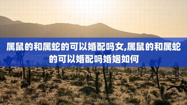 属鼠的和属蛇的可以婚配吗女,属鼠的和属蛇的可以婚配吗婚姻如何