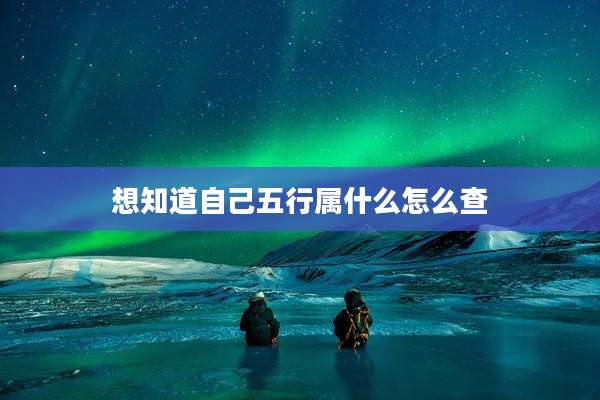 想知道自己五行属什么怎么查
