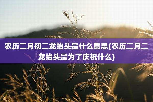 农历二月初二龙抬头是什么意思(农历二月二龙抬头是为了庆祝什么)