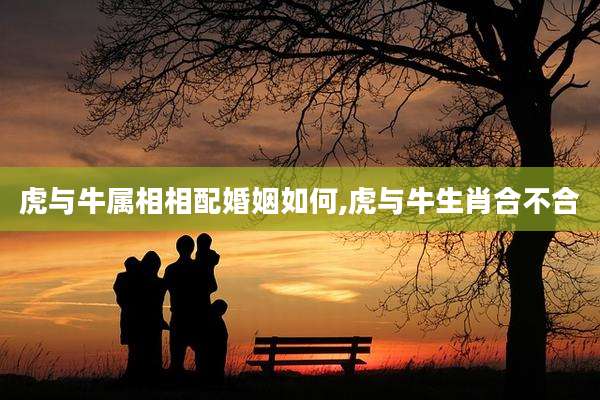 虎与牛属相相配婚姻如何,虎与牛生肖合不合