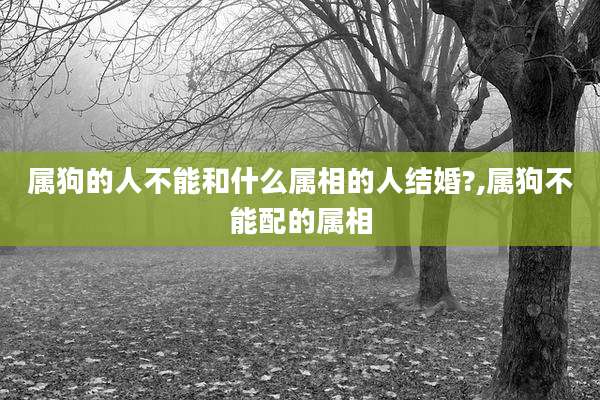 属狗的人不能和什么属相的人结婚?,属狗不能配的属相