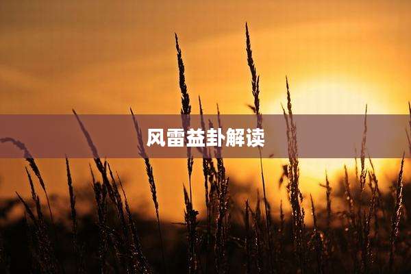 风雷益卦解读