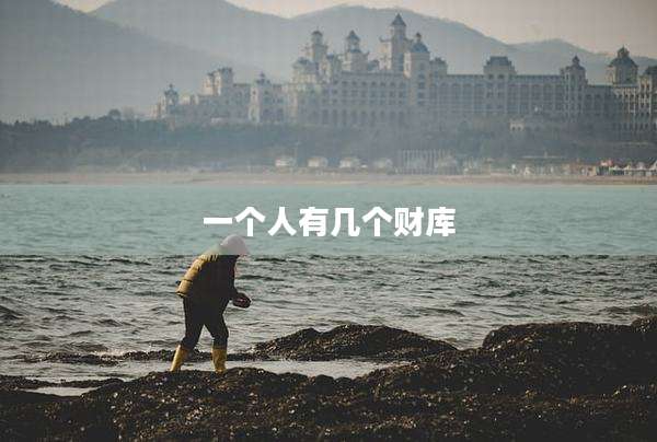 一个人有几个财库