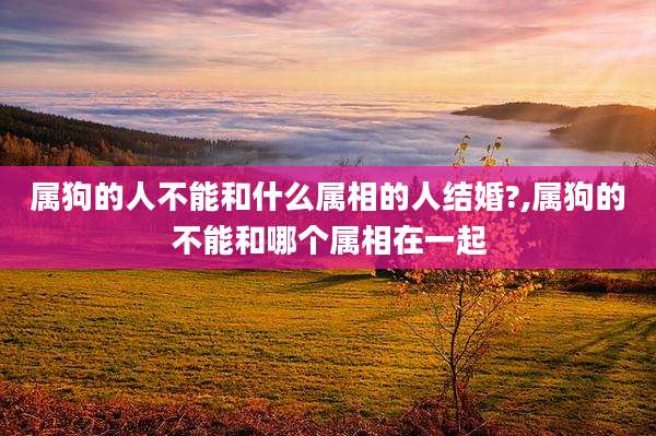 属狗的人不能和什么属相的人结婚?,属狗的不能和哪个属相在一起