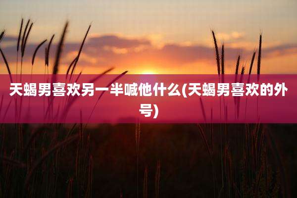 天蝎男喜欢另一半喊他什么(天蝎男喜欢的外号)